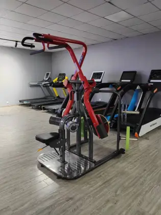 Factory Strength Gym Equipment: Plate Loaded Lat Pulldown & Cross Pull Back Machines