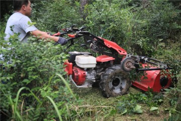 Italy technology mowing machine