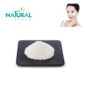 alpha arbutin powder