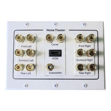 8.2 Speaker Wire 3 Gang Wall Plate - HDTV Socket