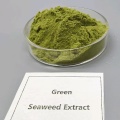 สารสกัดจากสาหร่ายทะเลแปรรูปเย็น