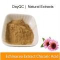 Echinacea purpurea Extract 4％Echinaceaポリフェノール