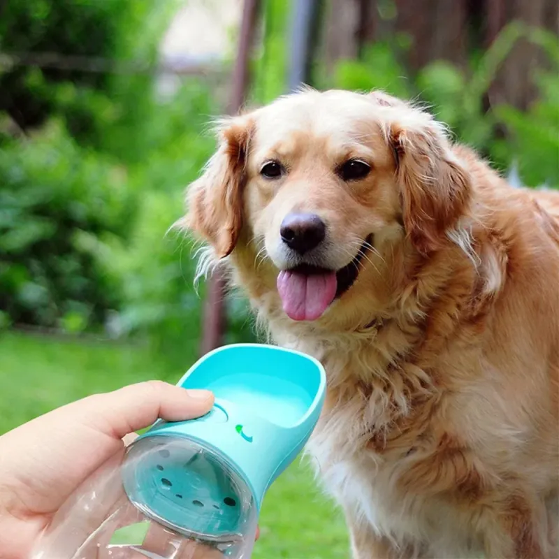 Rena Pet Travel Water Bottle with Feeder