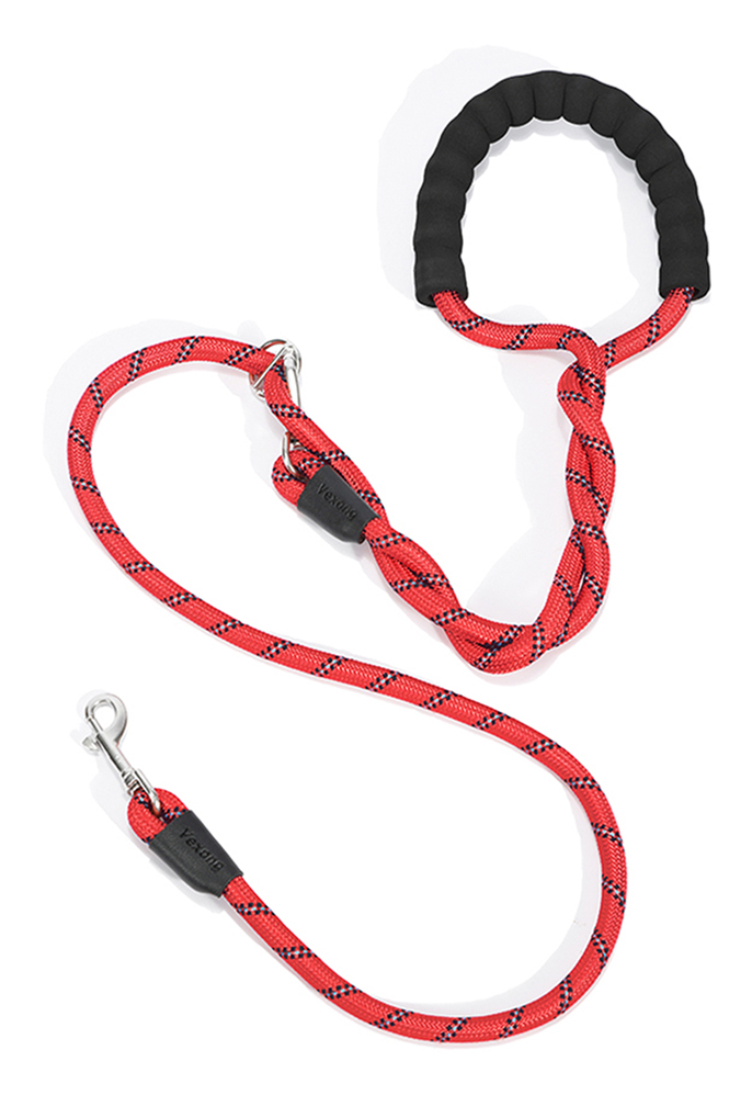 cat in leash