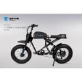 Electric Bike or Bicycle Electric cycle e bike Urban Factory