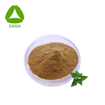 Nettle Extract Silica 1% Powder Treat Arthritis