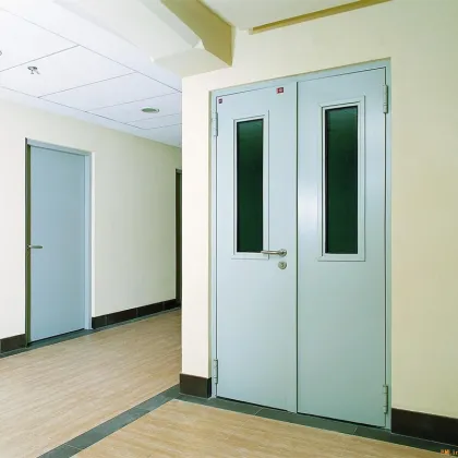 Fire Rated Steel Swing Doors