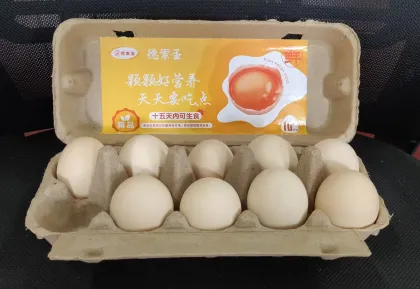 Yellow dry-pressed egg carton