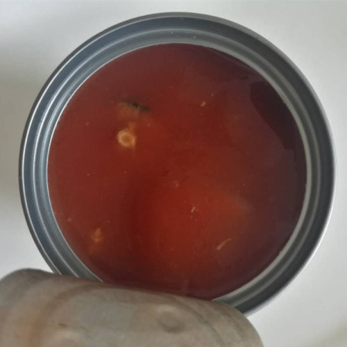 Cavala enlatada peixe em tomate quente