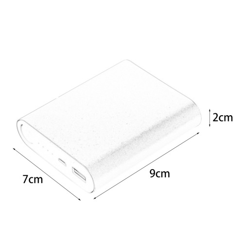 Portable Charger/Power Bank 10000mAh with logo