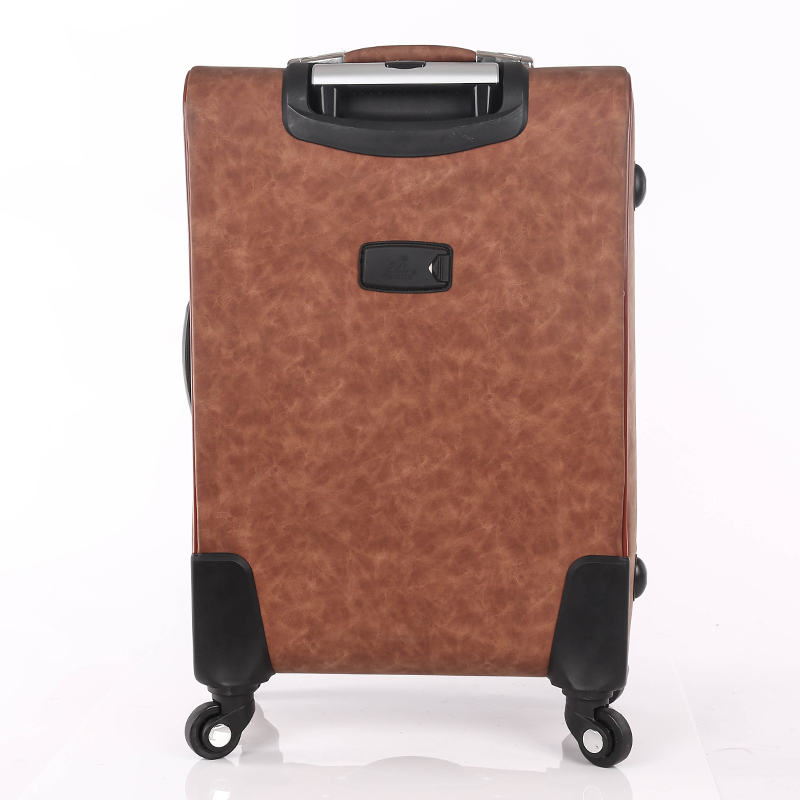 PU Transparent Luggage