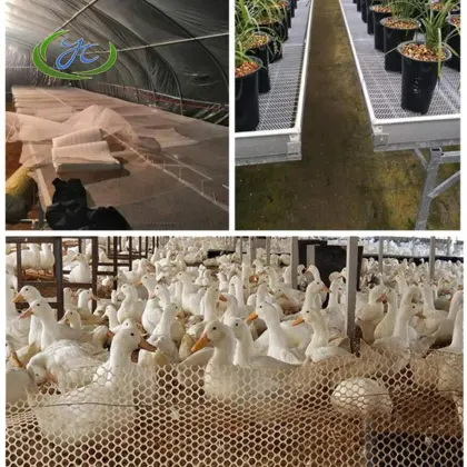 Tenax Plastic Chicken Wire