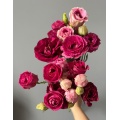 তোড়া জন্য টাটকা কাটা ফুল Burgundy Lisianthus পাইকারি