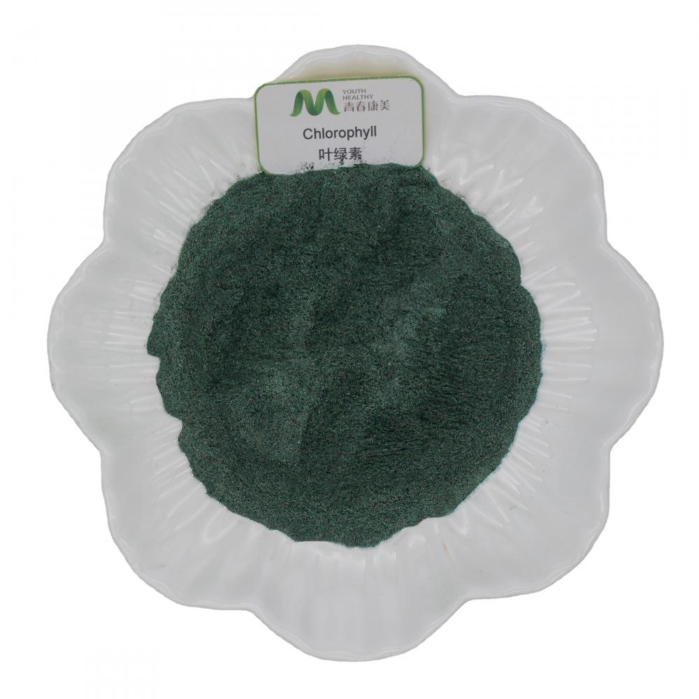 Top quality super chlorophyll powder with competitive price