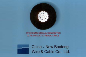 1kv Aluminum, Acsr, Conductor Xlpe Or Pe  Insulated Power Cable