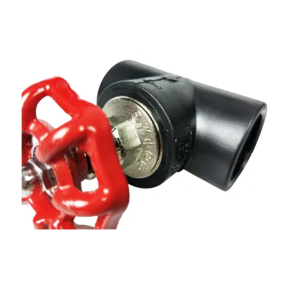 PE gate valve (double-joint gate valve)