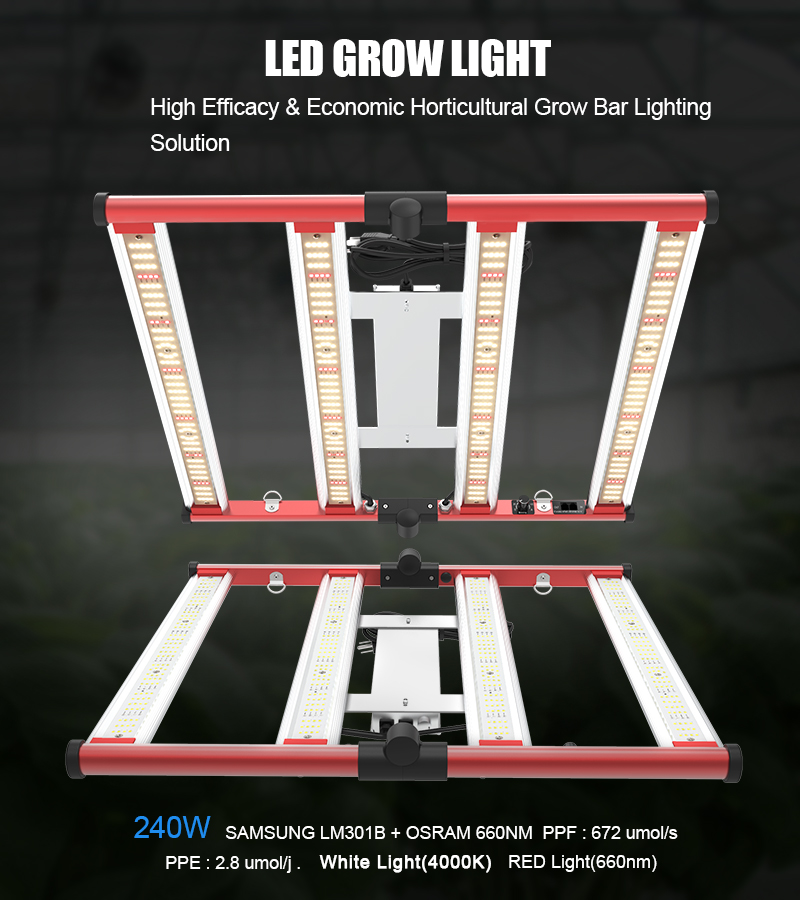 방수 접이식 240W LED 성장 조명