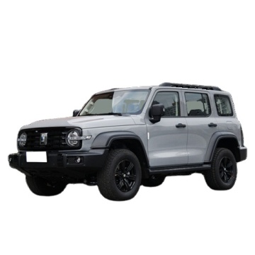 2023 Great Wall SUV 2.0T 4WD Gasoline Vehicle - New Car Tank 300 for Adults - Hot Sale