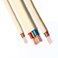 BS6004 6242Y 2x1.5mm + 1mm Twin และ Earth Cable