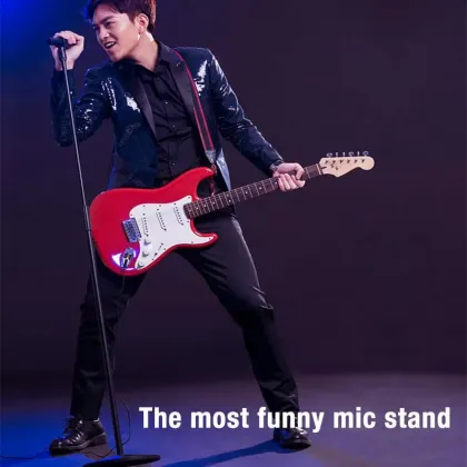 OEM Studio Adjustable Black Mic Stand - Detachable Goose Neck Professional Microphone Stand