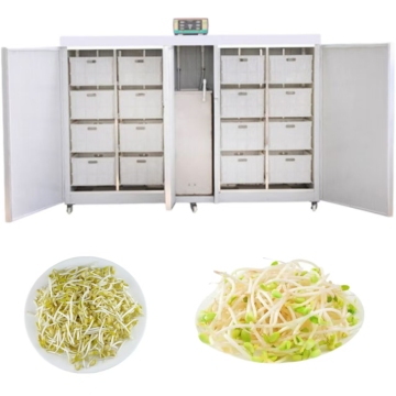 High Performance Automatic Bean Sprout Machine with Large Capacity and Dry Washing Function