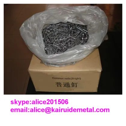 Iron Material Nail Common Iron Nail