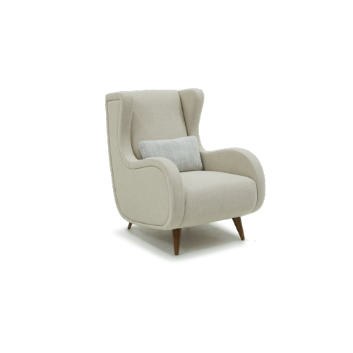 Double armrest leisure lounge chair