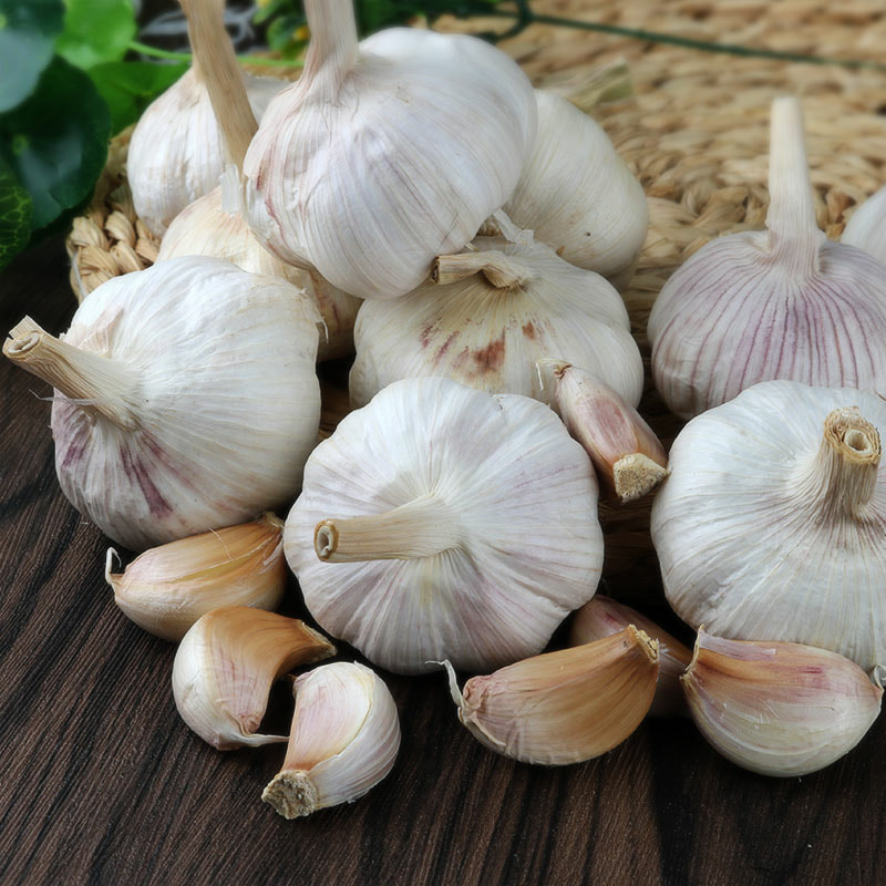 উন্নতমানের নতুন ফসল শুকনো রসুনের পাইকারি দাম