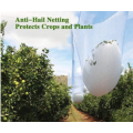 Anti Hail Netting Untuk Tumbuhan Pertanian