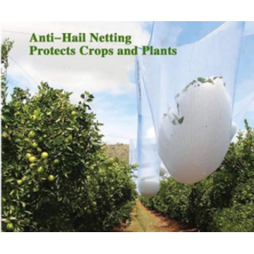 Anti Hail Net For Agriculture Farming Plants