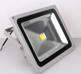 50w outdoor COB led flood light