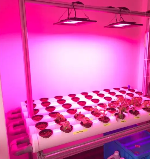 2018 200w mini led grow lights for Agricultural Greenhouses