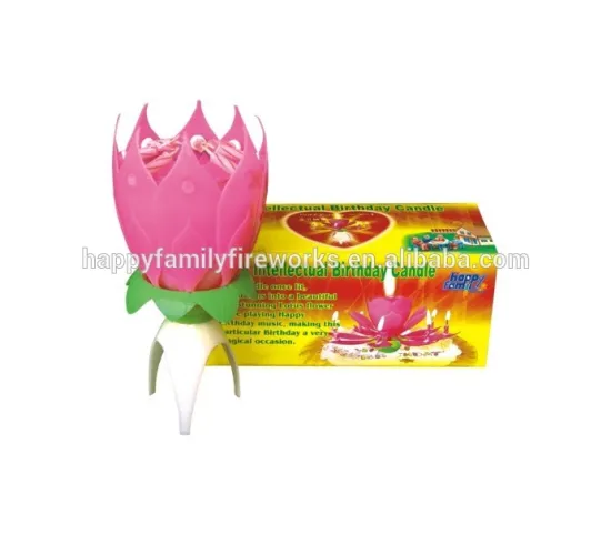 880305 Birthday Candle / Birthday party decorations