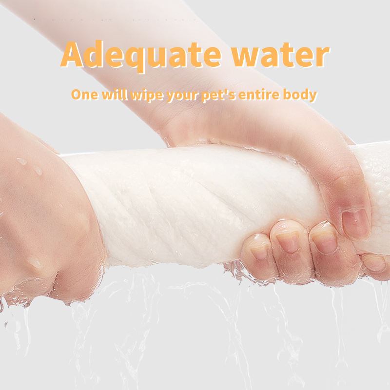 H24d546cd13b34c11b51d2d8348d68ee99