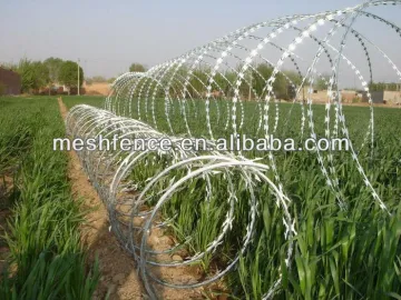 Best price for concertina razor barbed wire