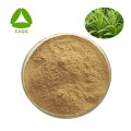 Pandan Leaf Extract Powder 10:1 20:1