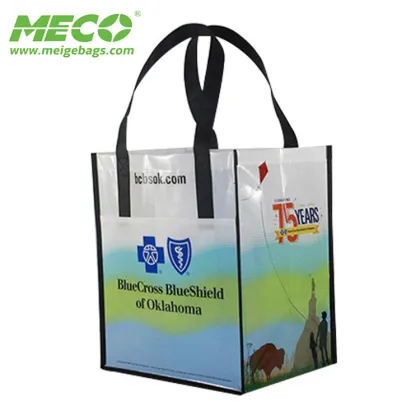 file folder tote bag/carry bag files/expandable file tote bag