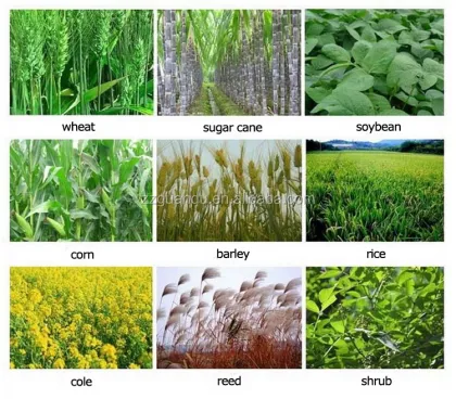 Hot Sale Rice Harvest Machine/Rice Harvester/Mini Rice Paddy Cutting Machine