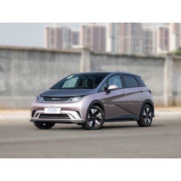 2025 BYD Dolphin 520 km Knight Edition