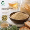 مسحوق خميرة التخمير Saccharomyces Cerevisiae