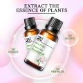 White Peony Root Extract/Essential Oil of Peony/Peony Essential Oil