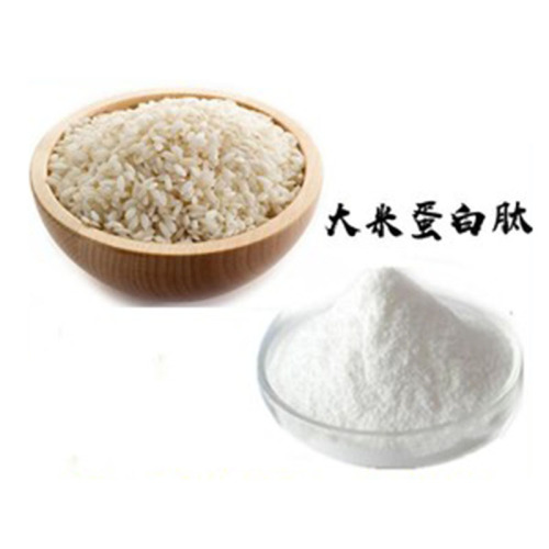 Raw material Rice peptides Water Soluble Rice Protein Peptide Manufactory