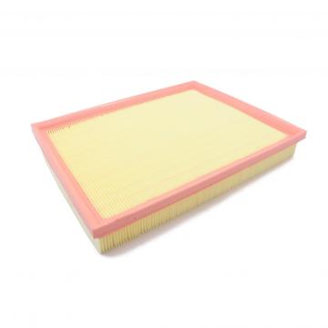 25313349 Air Filter for General Motors car series