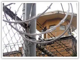 concertina razor coils