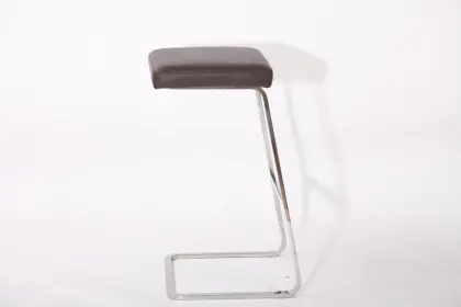 Leather Four season bar stool