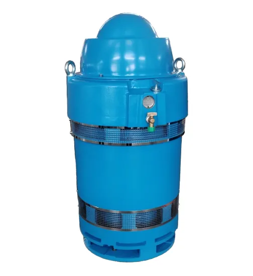 IEC & NEMA Standard Vertical Hollow Shaft (VHS) Motors: Specifications and Features