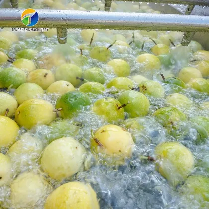Passion Fruit Washing Air Drying Selecting Machine for Farms