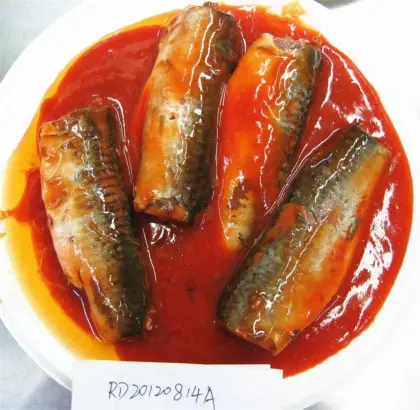 Canned Mackerel Fish In Tomato Sauce