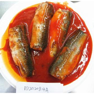 Cavala enlatada peixe com molho de tomate