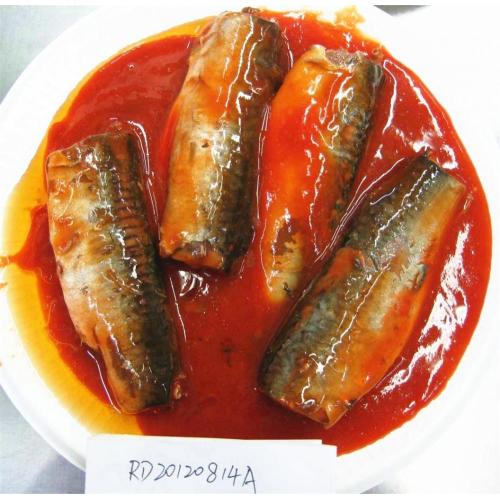 Poisson maquereau en conserve dans une sauce tomate